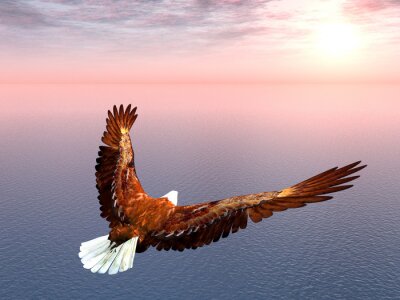 Fotobehang Vogel vliegt over water