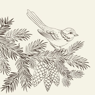 Fotobehang Vogel zittend op een dennenboom