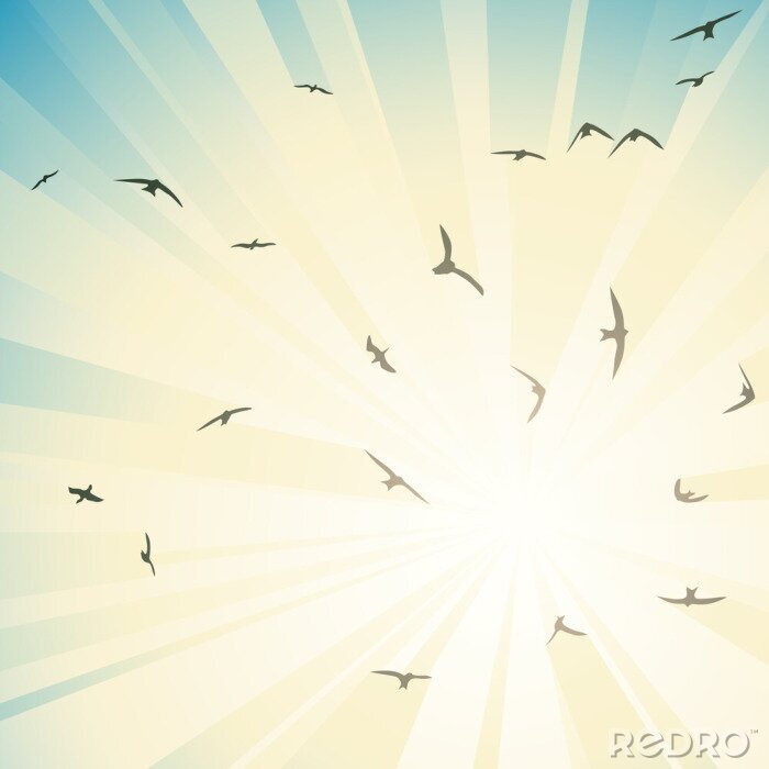 Fotobehang Vogels op de achtergrond van een zonnige hemel