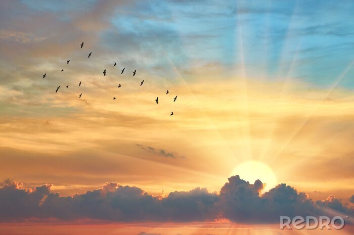 Fotobehang Vogels op een achtergrond van gele wolken