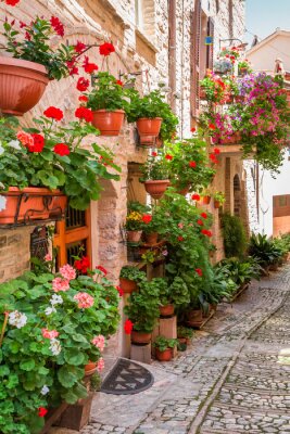 Vol bloemen portiek in kleine stad in Italië, Umbrië