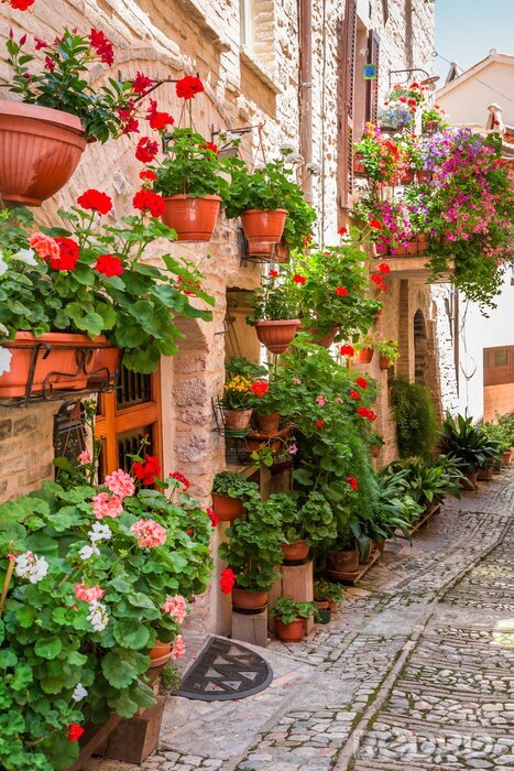 Fotobehang Vol bloemen portiek in kleine stad in Italië, Umbrië