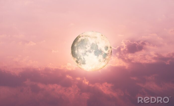 Fotobehang Volle maan op de achtergrond van de hemel in roze tinten