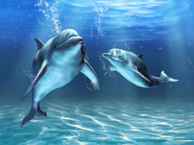 Fotobehang Vriendelijke dolfijnen