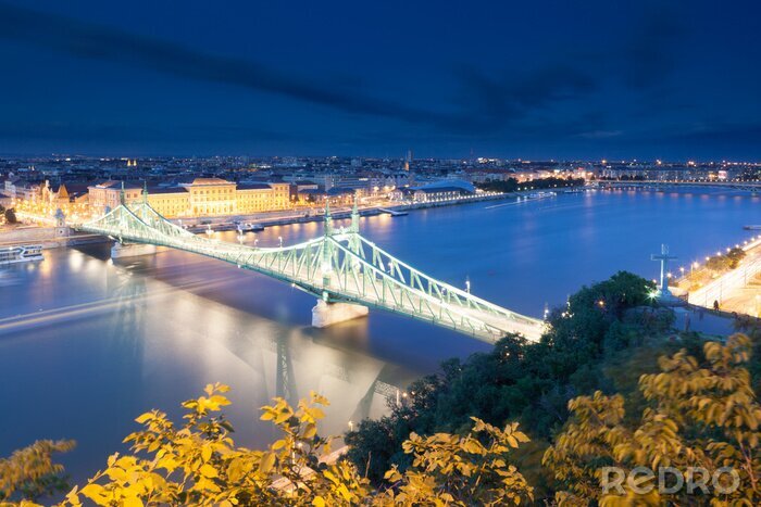 Fotobehang Vrijheidsbrug verlicht