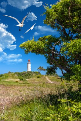 Fotobehang Vuurtoren aan de kust en meeuwen
