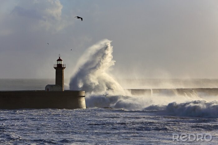 Fotobehang Vuurtoren in een zeezicht