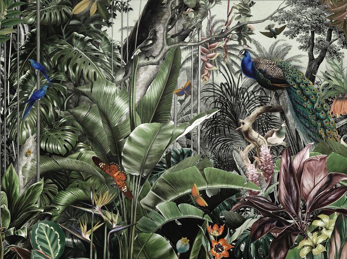 Fotobehang wallpaper jungle and tropical forest flamngo and tropical birds, old drawing vintage peacock