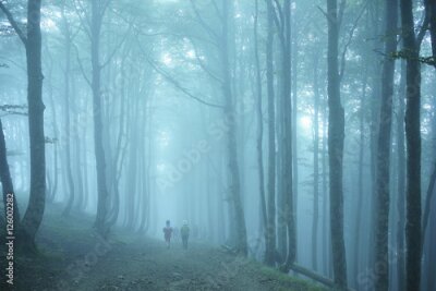 Fotobehang Wandelen in een mistig bos