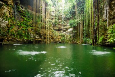 Fotobehang Water in een oerwoud