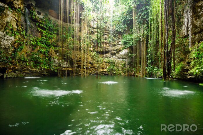 Fotobehang Water in een oerwoud