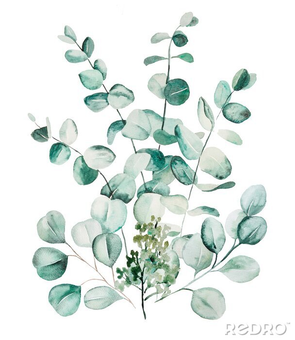 Fotobehang Watercolor eucaliptus leaves set illustration