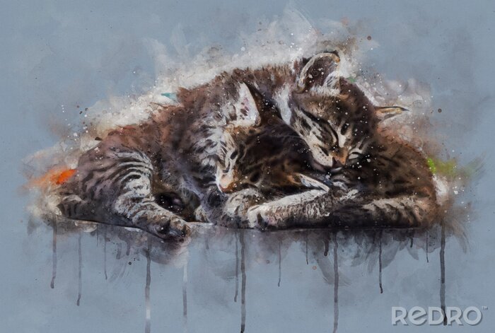 Fotobehang Watercolor illustration, Two little tabby cats sleeping together