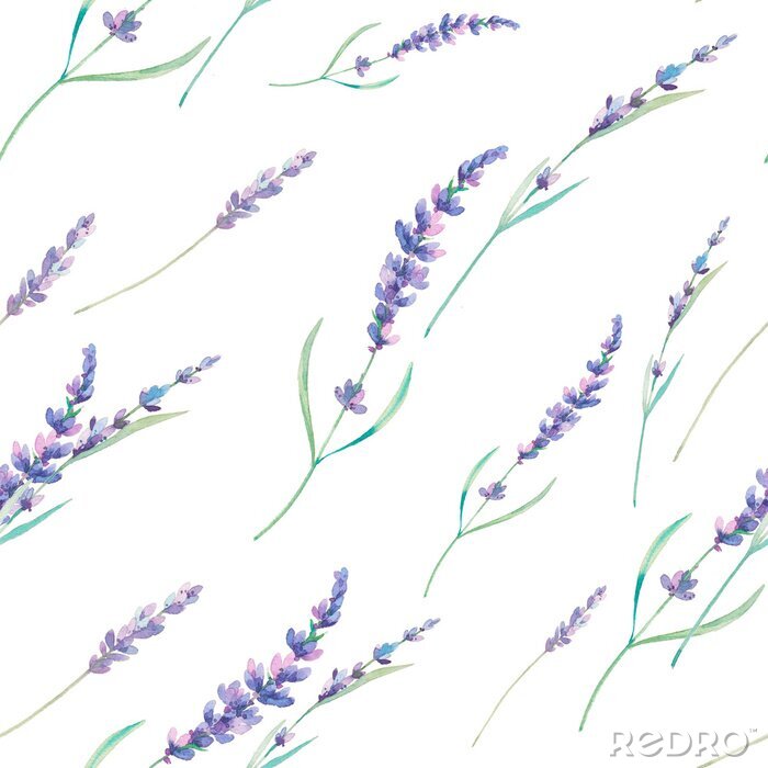 Fotobehang Watercolor lavendel naadloos patroon. Hand getrokken bloemen het herhalen patroon. Behang van de lente met bloemen op een witte achtergrond