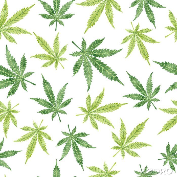 Fotobehang Watercolor marihuana bladeren naadloze patroon. Vector cannabis achtergrond.
