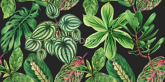 Fotobehang Watercolor painting colorful tropical palm leaf,green leaves seamless pattern background.Watercolor hand drawn illustration tropical exotic leaf prints for wallpaper,textile Hawaii aloha jungle style.