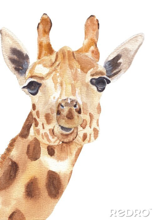 Fotobehang Watercolor safari animals portraits close ups: giraffe. Hand drawn hand painted posters great for wall design, pattern element, nursery decor, play room design 
