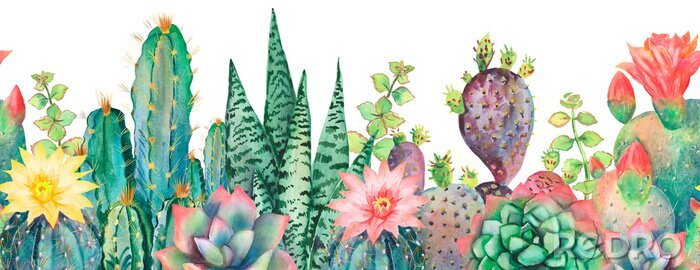 Fotobehang Watercolor seamless border cactus pattern.