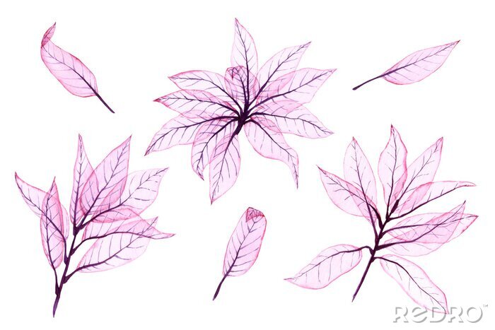 Fotobehang Watercolor transparent leaves. Hand painted pink leaves perfect for card making and label. Illustration