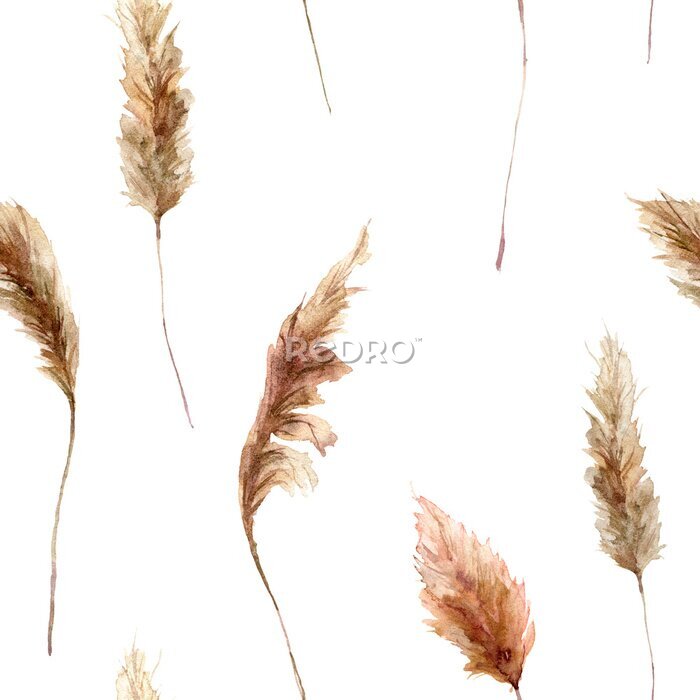 Fotobehang Watercolor tropical seamless pattern with dry pampas grass. Hand painted exotic grass isolated on white background. Floral illustration for design, print, fabric or background.
