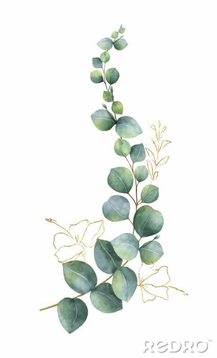 Fotobehang Watercolor vector wreath with green eucalyptus leaves and gold elements