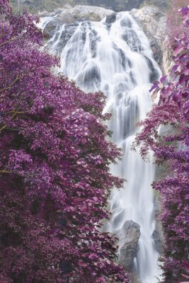 Fotobehang Waterval en paarse bomen