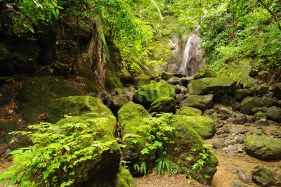 Fotobehang Waterval en stenen in de jungle