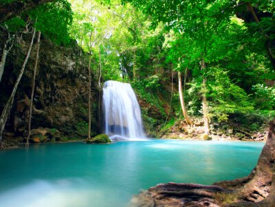 Fotobehang Waterval in een groene wildernis