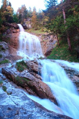 Fotobehang Waterval in een naaldbos