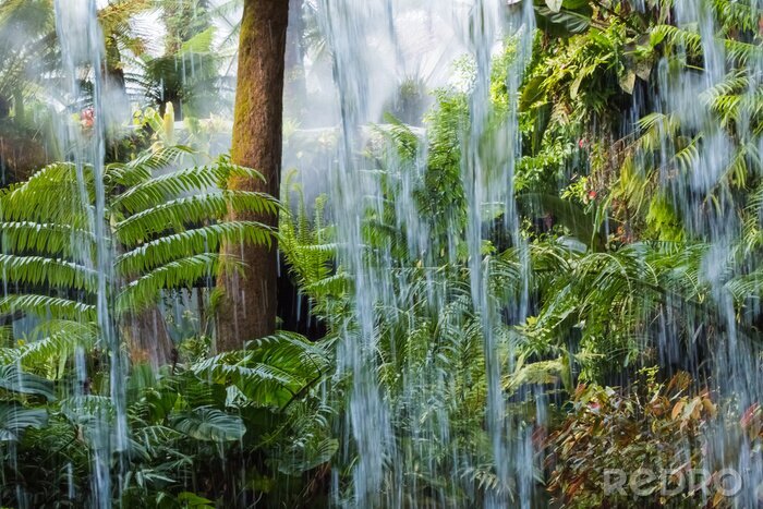 Fotobehang Waterval in een tropisch woud