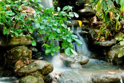 Fotobehang Waterval met stenen en groene bladeren