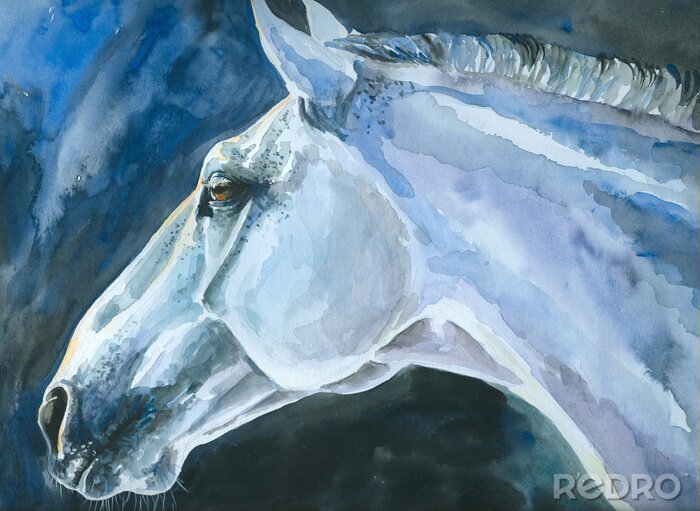 Fotobehang Waterverf geschilderd dier