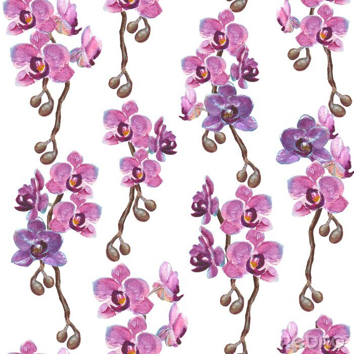 Fotobehang Waterverf orchidee takken naadloze patroon op een witte achtergrond