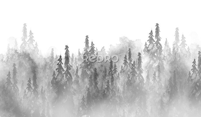 Fotobehang Waterverfgroep bomen - spar, pijnboom, ceder, spar. zwart en wit bos, landschap van het platteland. Tekening op een witte geïsoleerde achtergrond. Hand getekend aquarel illustratie. Mistig ijzig bos