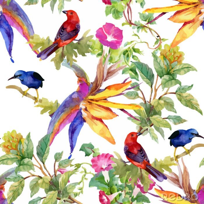 Fotobehang Waterverfhand getrokken naadloos patroon met mooie bloemen en kleurrijke vogels op witte achtergrond.