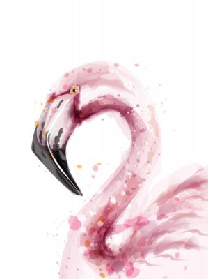 Waterverfportret van een flamingo