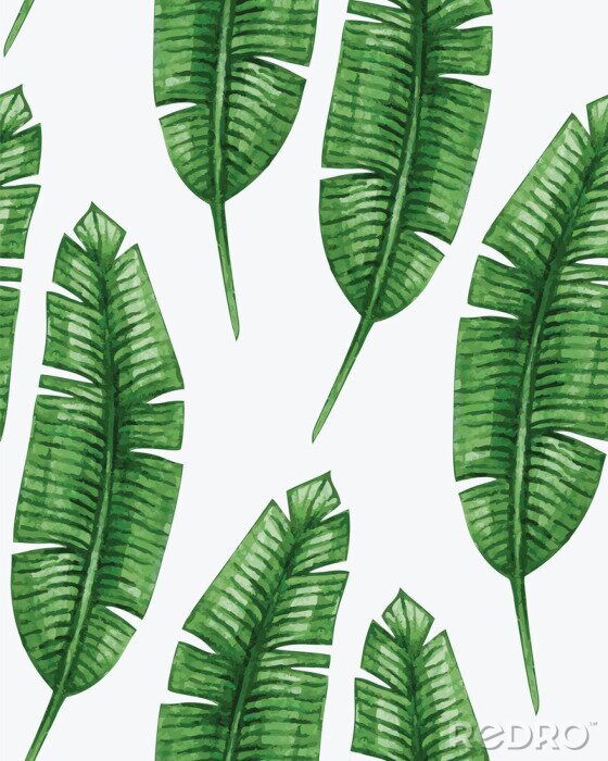 Fotobehang Weelderige groene bananenbladeren