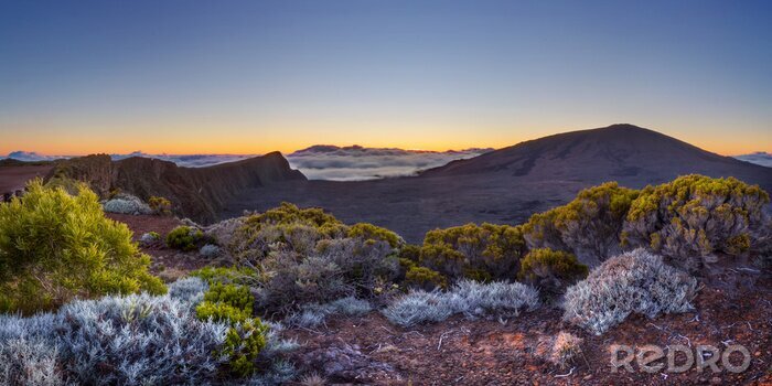 Fotobehang Weelderige vegetatie in de bergen