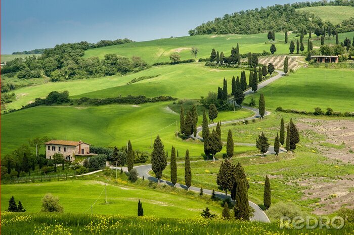 Fotobehang Weg met bochten en cipressen in Toscane, Italië
