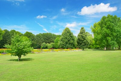 Fotobehang Weide in een park