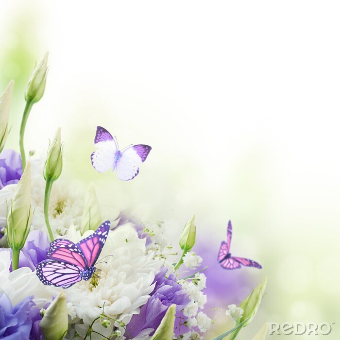 Fotobehang Weide vol vlinders en bloemen