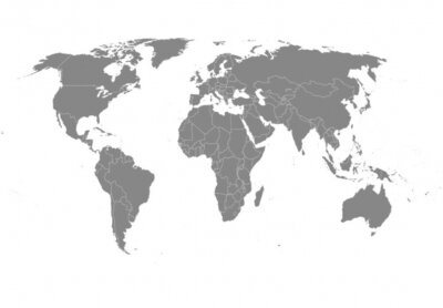 Weltkarte in Grau 40%