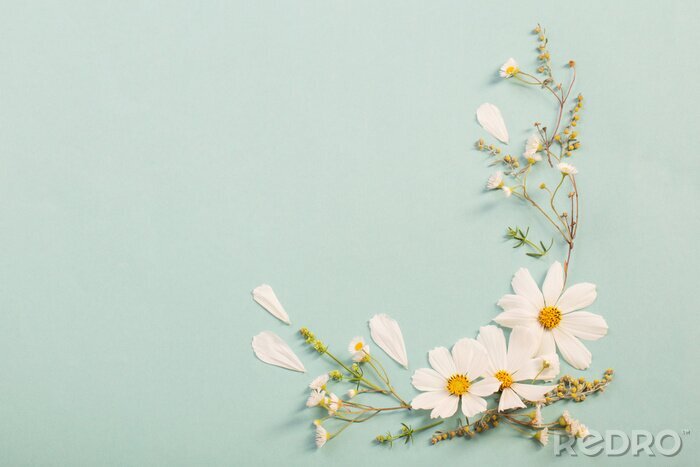 Fotobehang white flowers on paper background