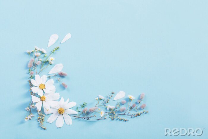 Fotobehang white flowers on paper background