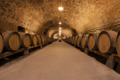 Fotobehang Wijnkelder