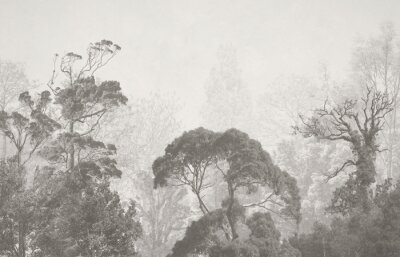 Fotobehang Wild boslandschap in grijs
