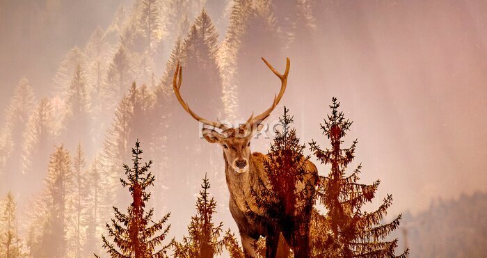 Fotobehang Wild zoogdier in een boslandschap