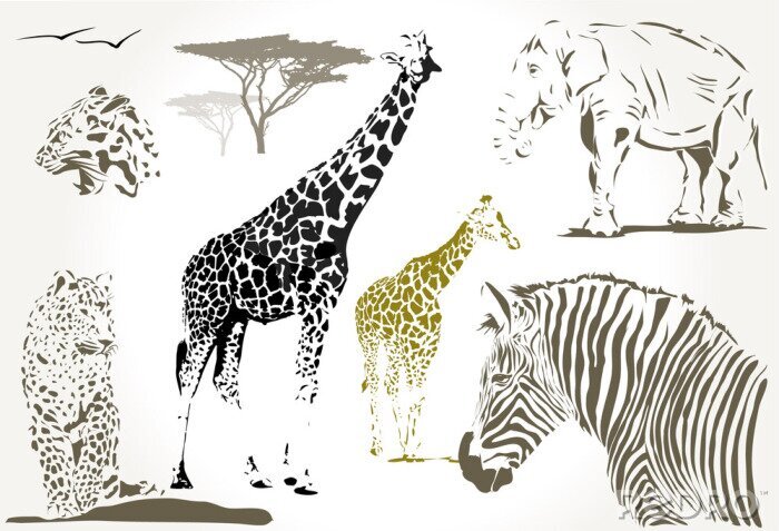 Fotobehang wilde Afrikaanse dieren giraf, jaguar zebra, olifant