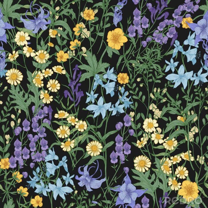 Fotobehang Wilde bloemen op een zwarte achtergrond