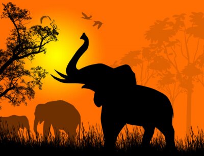 Wilde olifanten bij zonsondergang